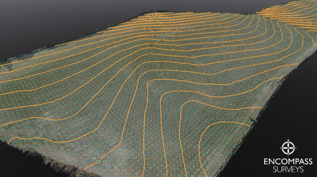 A digital point cloud / image showing level differences with contours